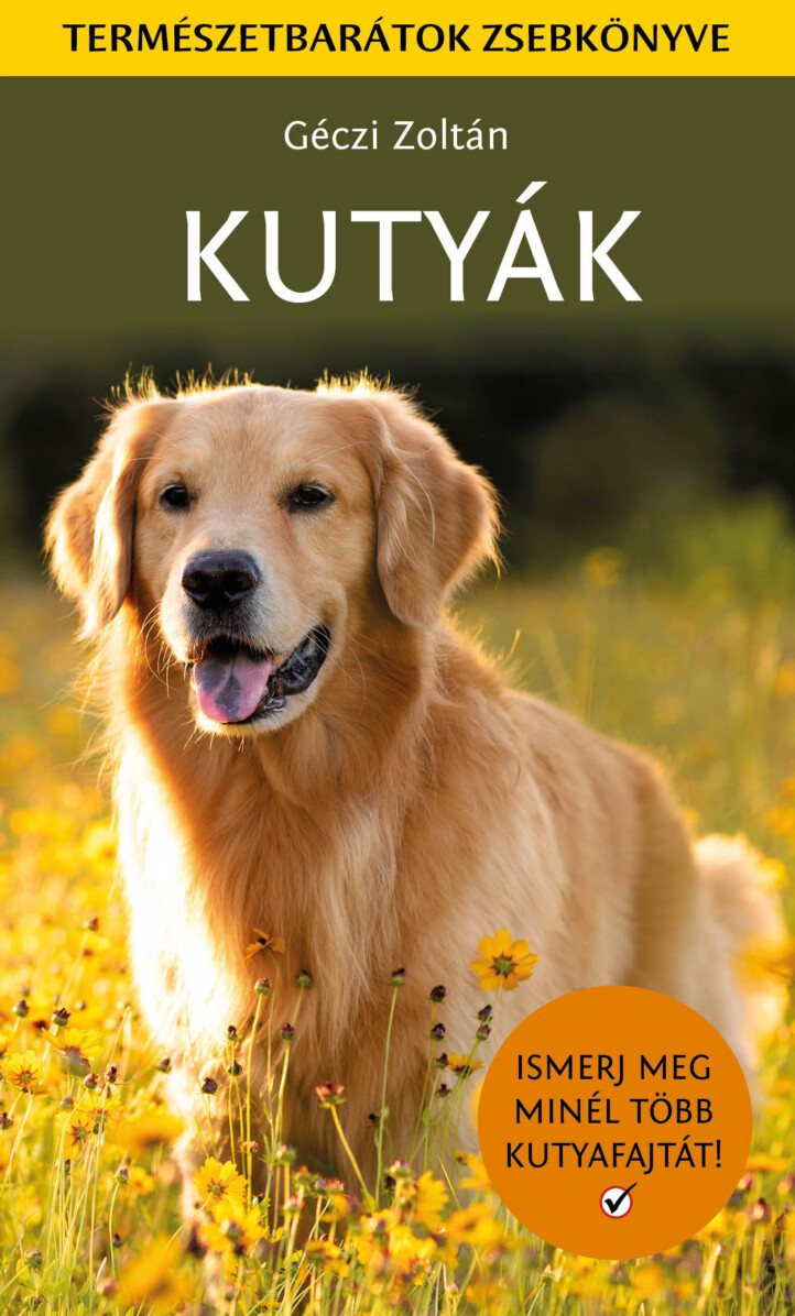 Kutyák - Ismerj Meg Minél Több Kutyafajtát!