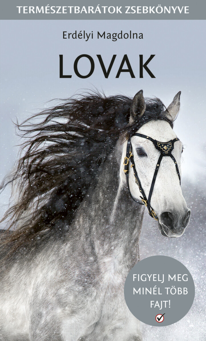 Lovak - Figyelj Meg Minnél Több Lófajtát!