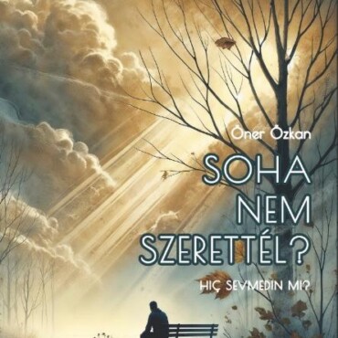 Soha Nem Szerettél?