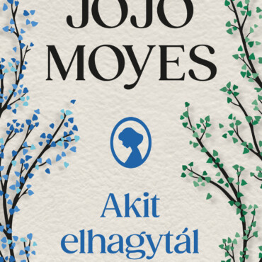 Akit Elhagytál - Új Borító