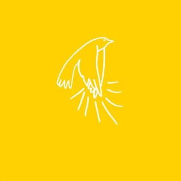 A Madarak Tapsolnak, Amikor Felszállnak