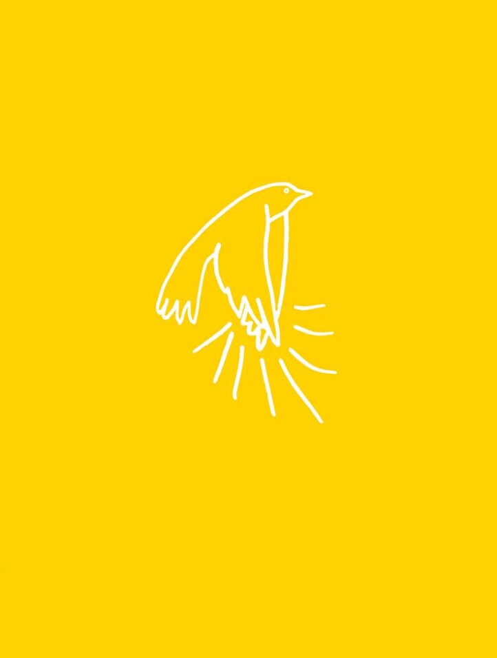 A Madarak Tapsolnak, Amikor Felszállnak