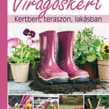 Virágoskert - Kertben, Teraszon, Lakásban