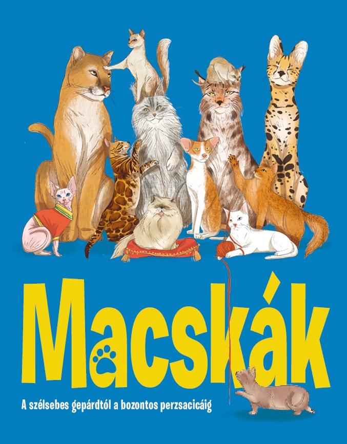 Macskák - A Szélsebes Gepárdtól A Bozontos Perzsacicáig