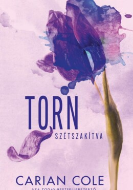 Torn - Szétszakítva (Éldekorált)