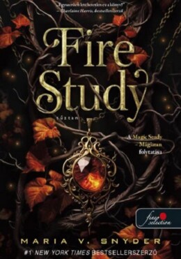 Fire Study  Tűztan