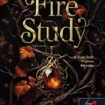 Fire Study  Tűztan