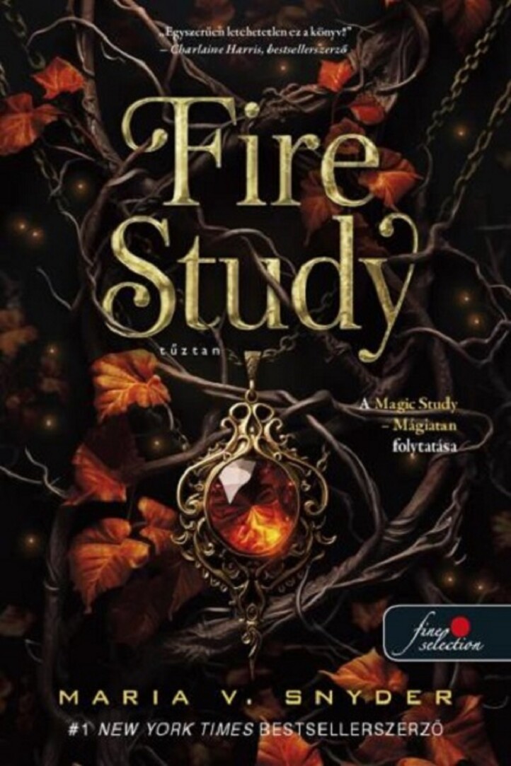 Fire Study  Tűztan