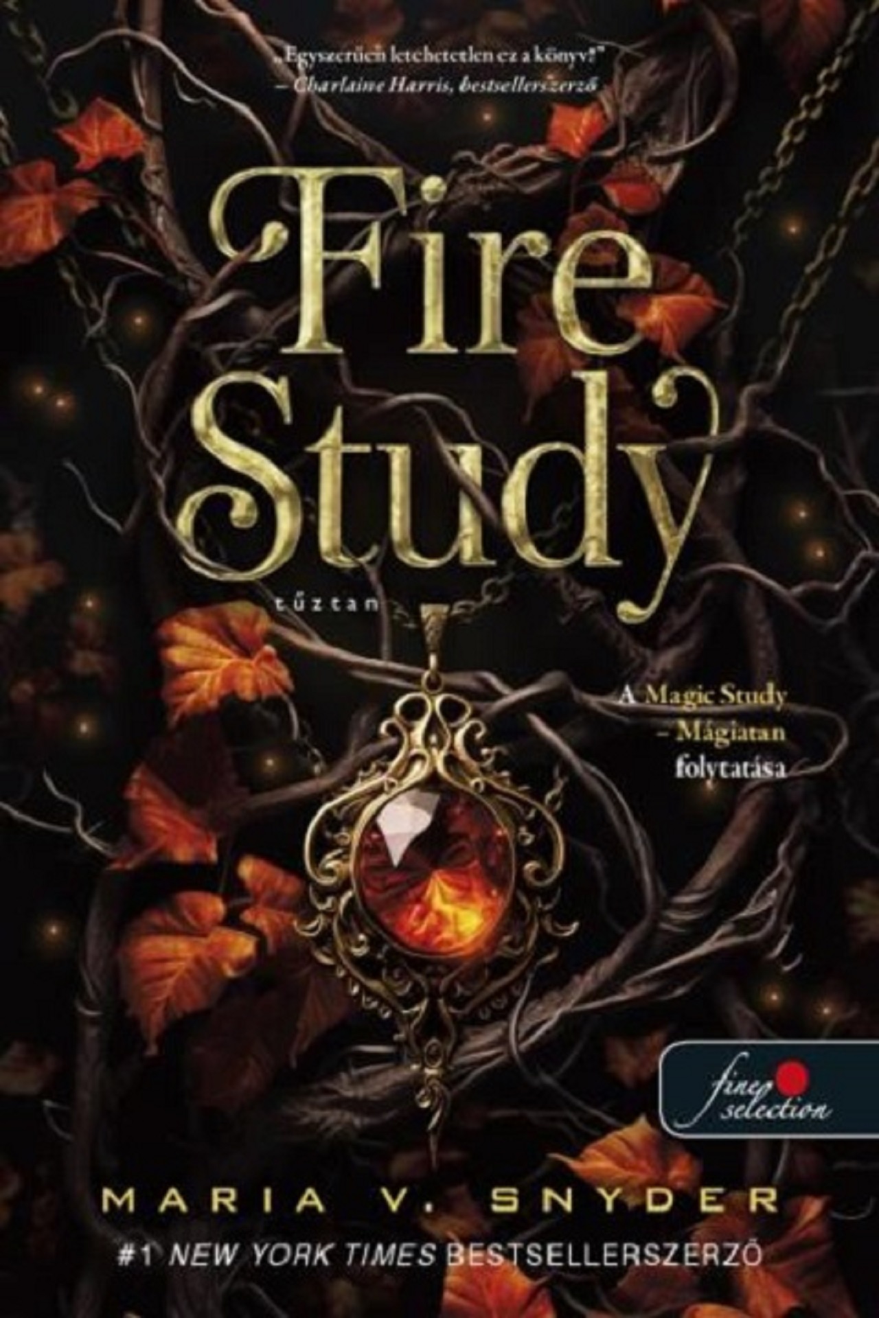 Fire Study Tűztan