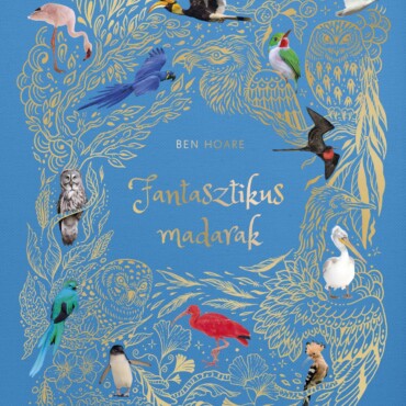 Fantasztikus Madarak - Élfestett