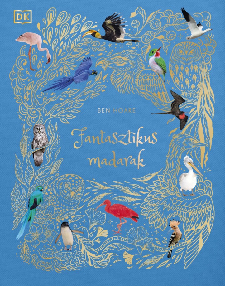Fantasztikus Madarak - Élfestett