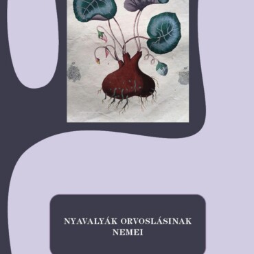 Nyavalyák Orvoslásinak Nemei