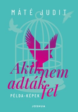 Akik Nem Adták Fel - Példa-Képek