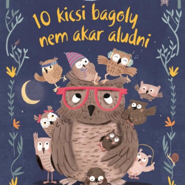 10 Kicsi Bagoly Nem Akar Aludni