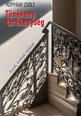 Tünékeny Törékenység - Esszék, Kritikák, Tárlatok