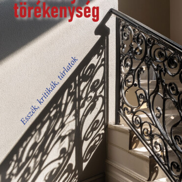 Tünékeny Törékenység - Esszék, Kritikák, Tárlatok