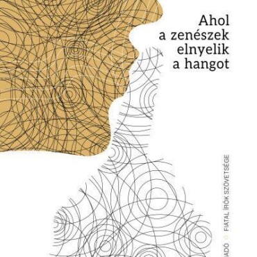 Ahol A Zenészek Elnyelik A Hangot