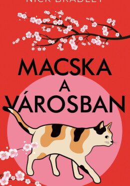 Macska A Városban