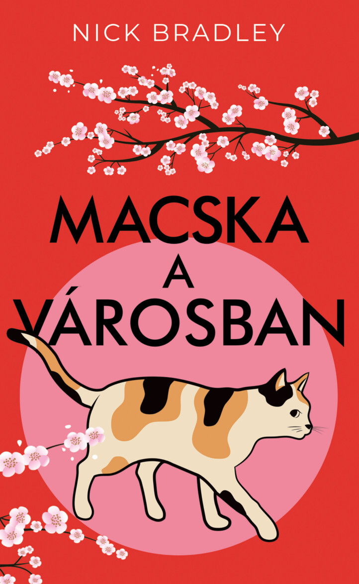 Macska A Városban