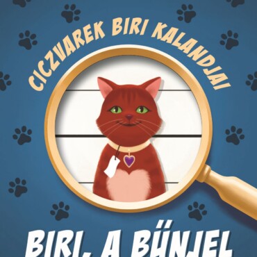 Ciczvarek Biri Kalandjai - Biri, A Bűnjel