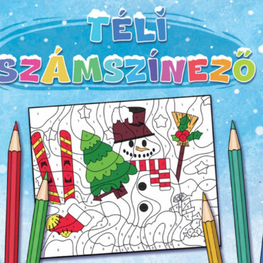 Téli Számszínező