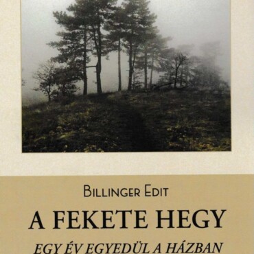 A Fekete Hegy - Egy Év Egyedül A Házban