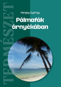 Pálmafák Árnyékában - Természet