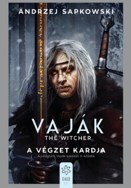 The Witcher -  A Végzet Kardja ( Vaják 2)