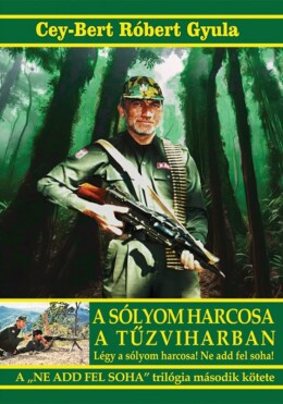 A Sólyom Harcosa A Tűzviharban - Ne Add Fel Soha Trilógia 2. Kötete