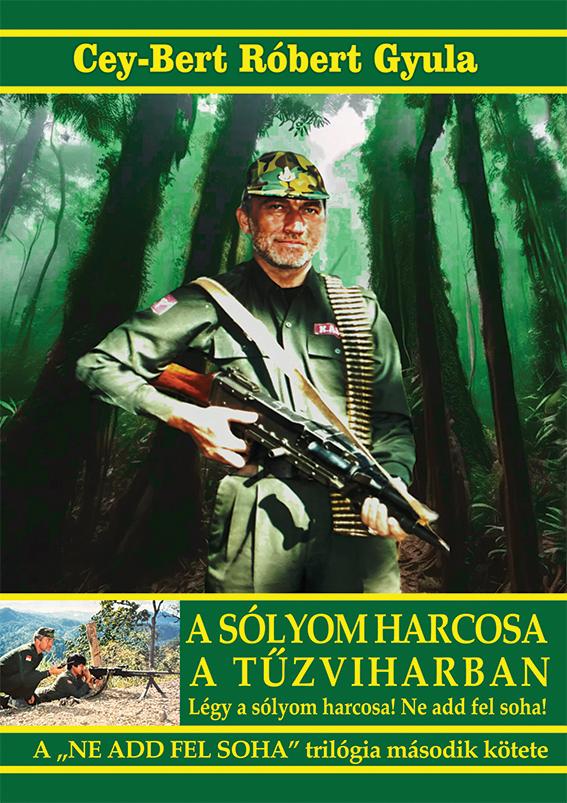 A Sólyom Harcosa A Tűzviharban - Ne Add Fel Soha Trilógia 2. Kötete