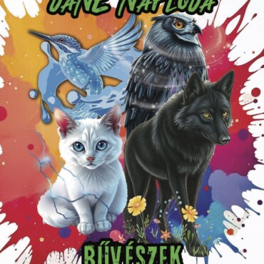 Jane Naplója - Bűvészek
