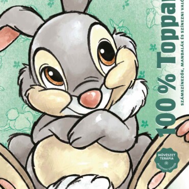 Disney - 100% Toppancs