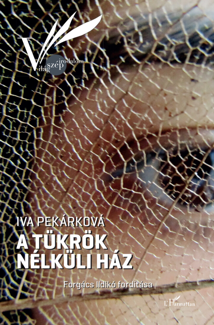 A Tükrök Nélküli Ház