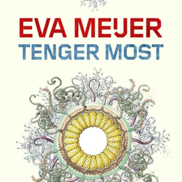 Tenger Most