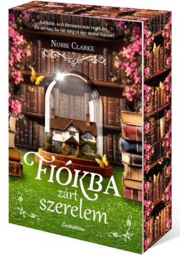 Fiókba Zárt Szerelem - Élfestett