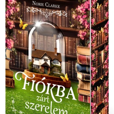 Fiókba Zárt Szerelem - Élfestett