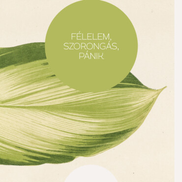 Félelem, Szorongás, Pánik - Hogyan Találjuk Meg A Kiutat? - Új Kiadás