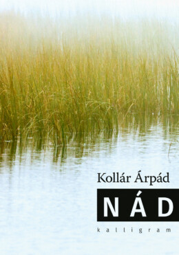 Nád