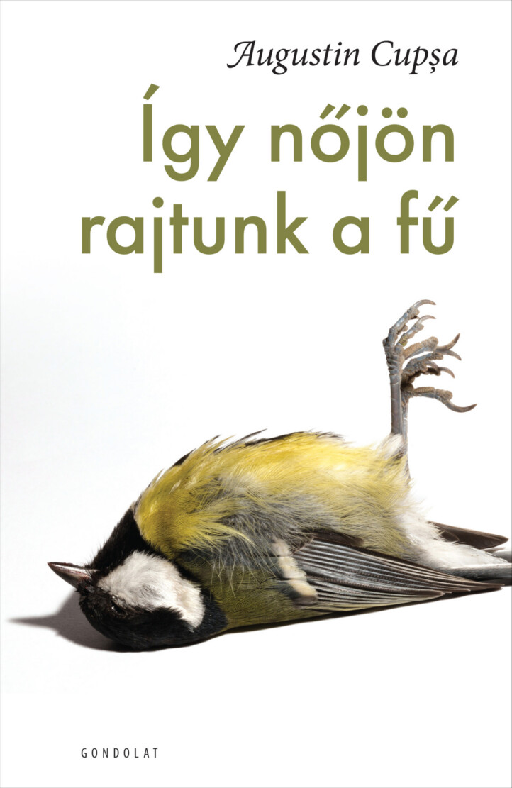 Így Nőjön Rajtunk A Fű