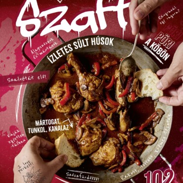 Szaft - 102 Kipróbált Recept (Bordó)