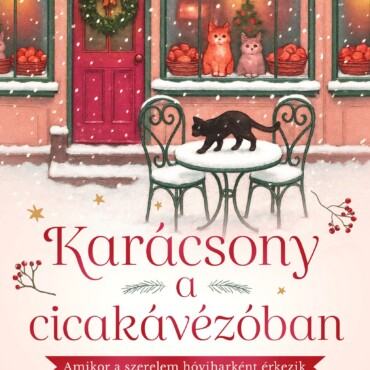 Karácsony A Cicakávézóban