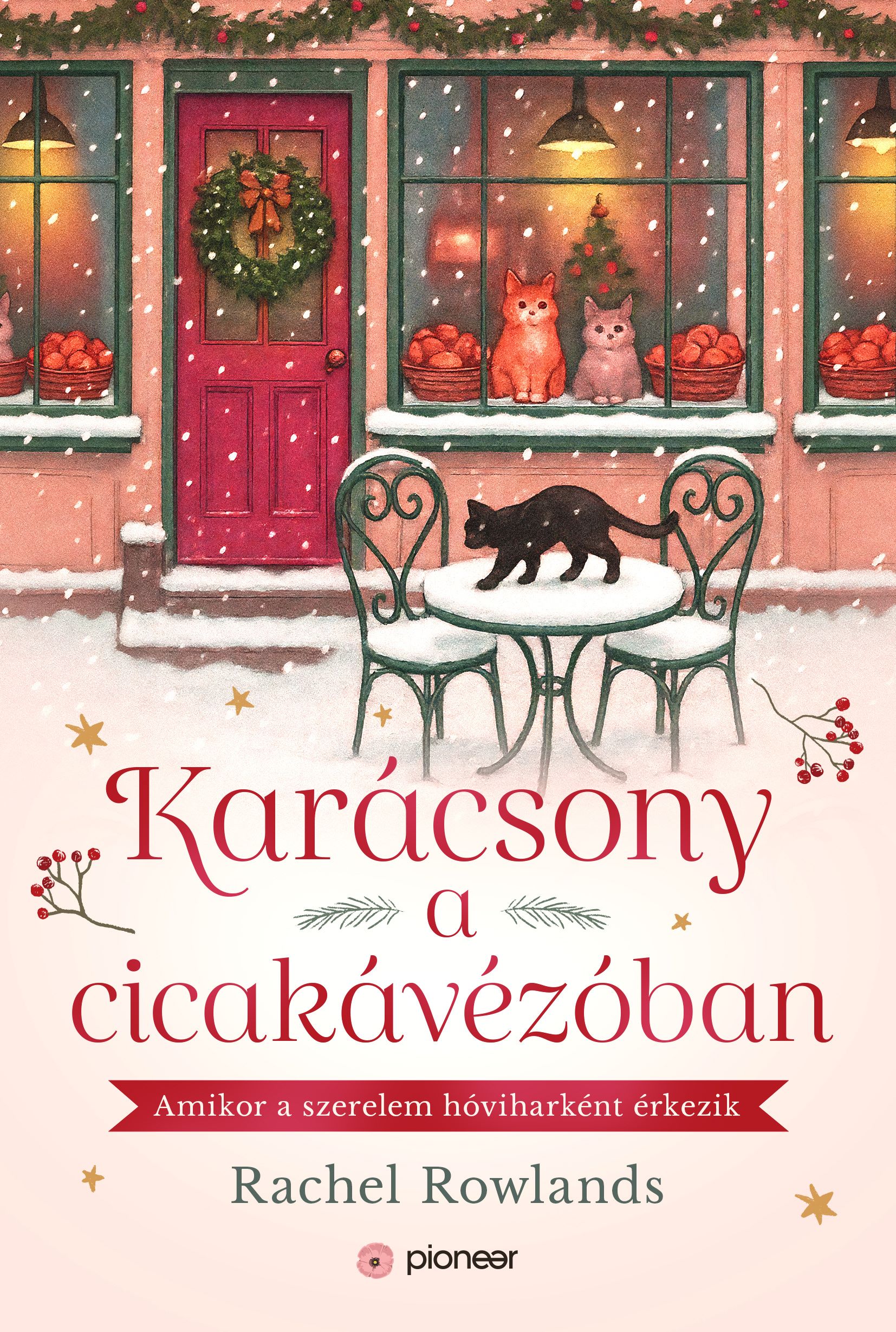 Karácsony A Cicakávézóban