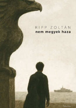 Nem Megyek Haza