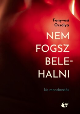 Nem Fogsz Belehalni - Kis Mondandanók