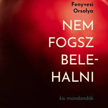 Nem Fogsz Belehalni - Kis Mondandanók