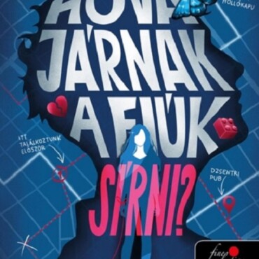 Hová Járnak A Fiúk Sírni? - Élfestett