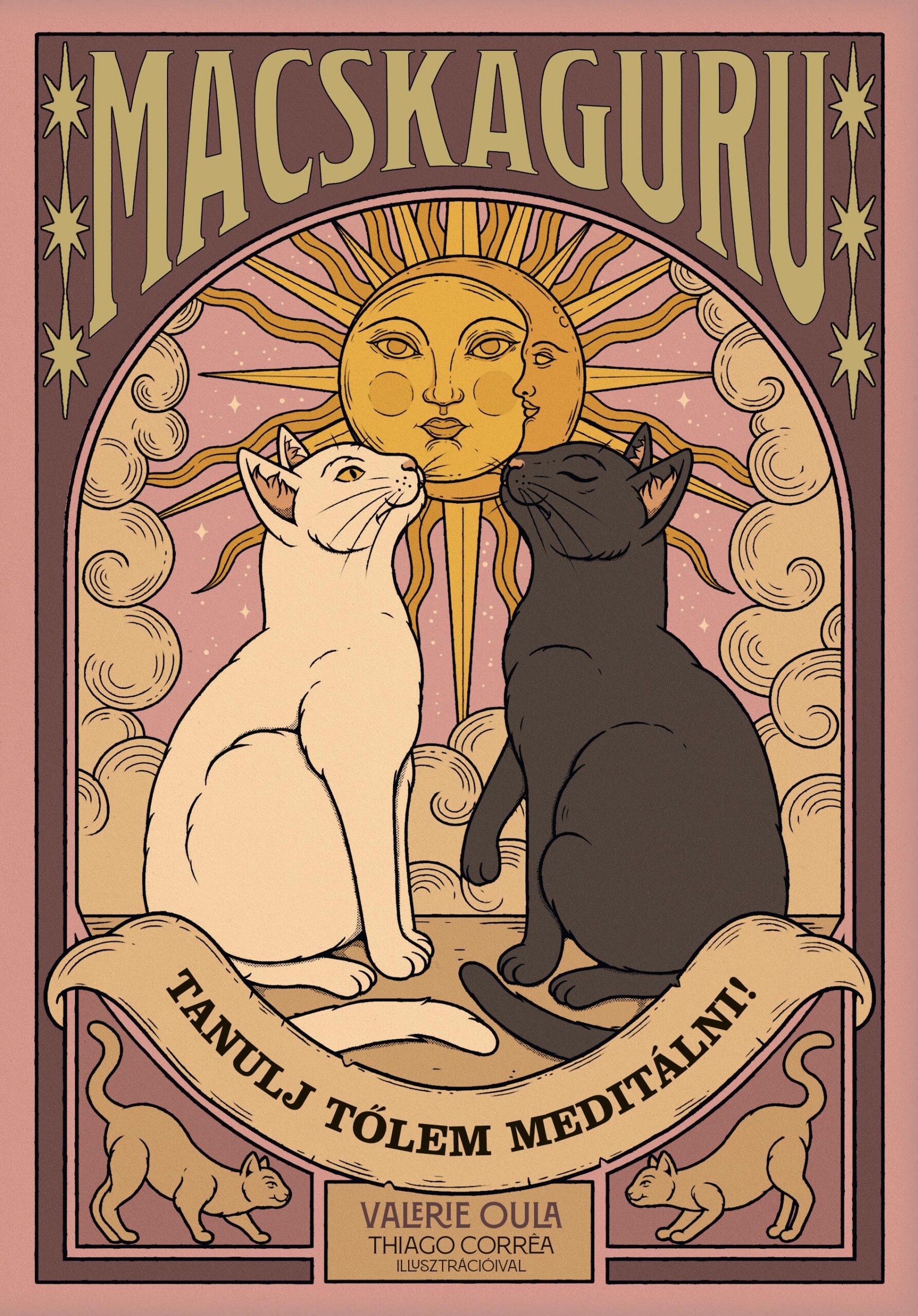 Macskaguru - Tanulj Tőlem Meditálni!