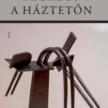 Pegazus A Háztetőn