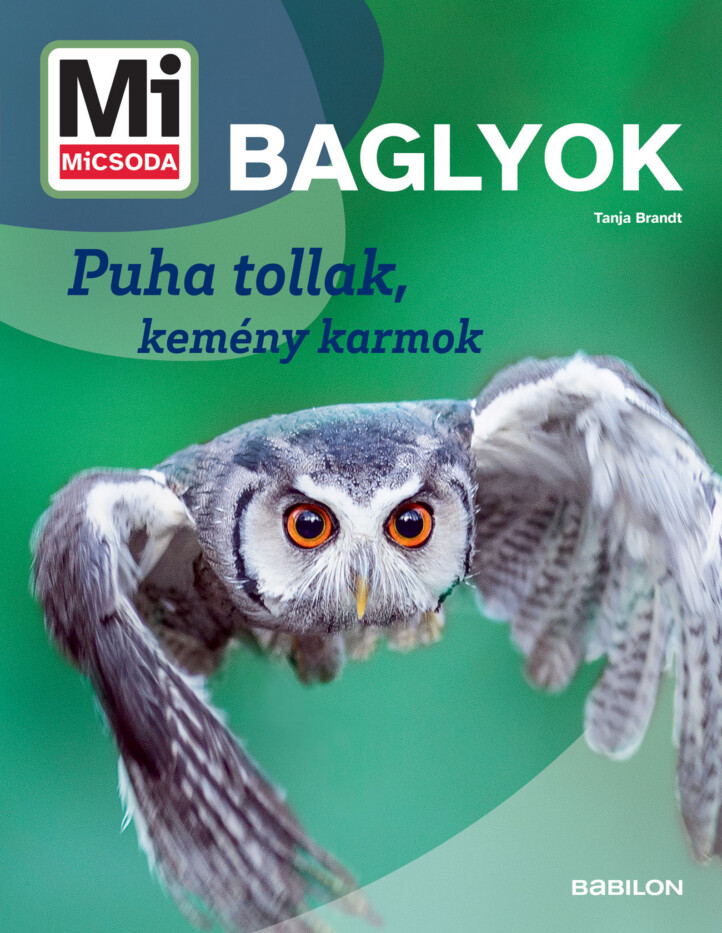 Mi Micsoda Baglyok - Puha Tollak, Kemény Karmok