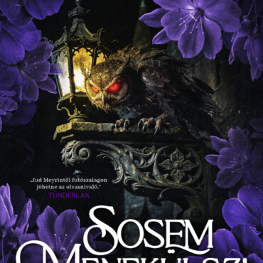 Sosem Menekülsz! - Éldekorált